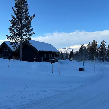 Hébergement de vacances New, Modern Family In Hovden Sor *